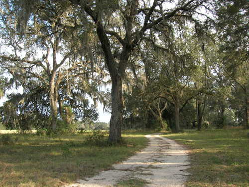 More Photos Of 4107 NE 255th Dr, Melrose Land For Sale