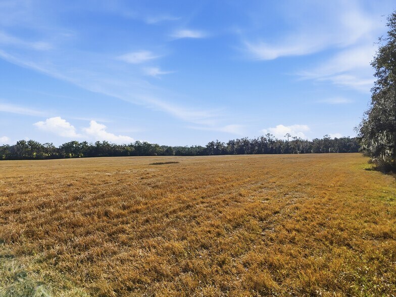 More Photos Of TBD Hwy 236, Alachua Land For Sale
