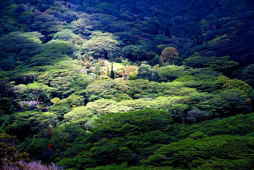 More Photos Of 3737 Manoa Rd, Honolulu Land For Sale