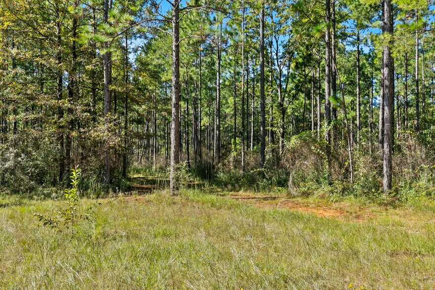 More Photos Of 0 Nokomis Road, Walnut Hill Land For Sale