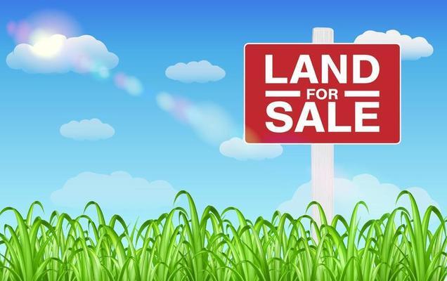 Primary Photo Of 0 Main St, Alden Land For Sale