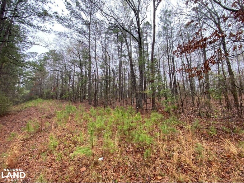 More Photos Of 0 Highway 280, Dadeville Land For Sale