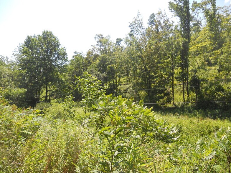 More Photos Of 595 Wades Run Rd, Morgantown Land For Sale