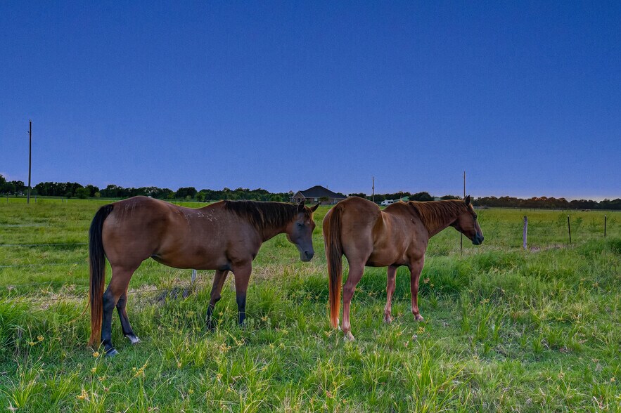 More Photos Of 10550 Brinkmeyer Rd, Needville Flex For Sale