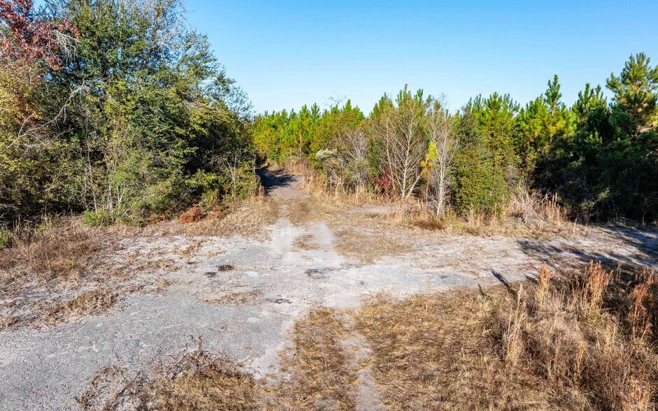 More Photos Of CR 137, Wellborn Land For Sale