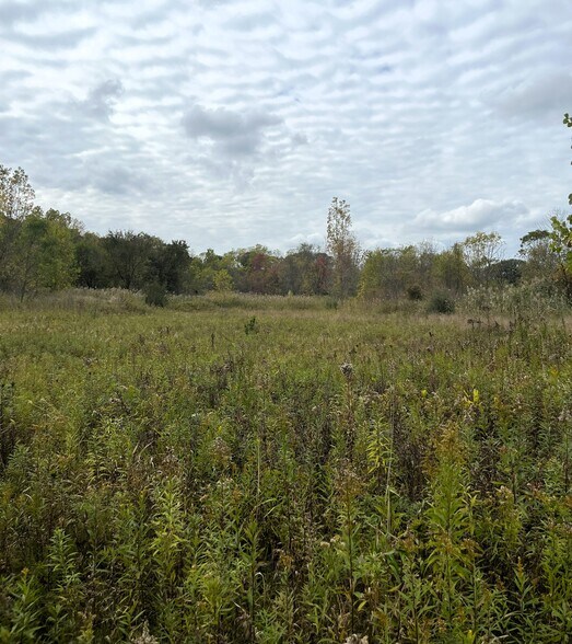 More Photos Of Whitmore Lake Rd, Whitmore Lake Land For Sale