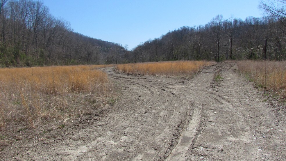 More Photos Of 0 Mccorkle Rd, Alum Creek Land For Sale