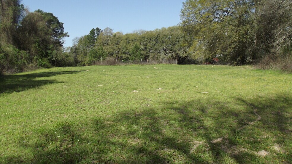 More Photos Of 24030 Hegar Rd, Hockley Land For Sale