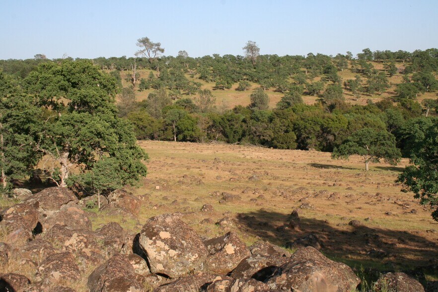 More Photos Of 295 Honey Run Road run, Chico Land For Sale