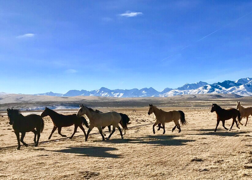 More Photos Of 3750 Pahsimeroi Rd, May Land For Sale