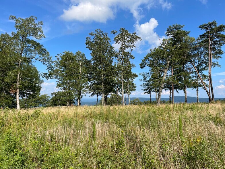 More Photos Of 0 Clubhouse Lane Ln, Rising Fawn Land For Sale