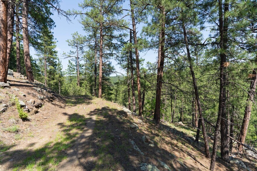 More Photos Of 1201A Old Hill City Rd, Keystone Land For Sale