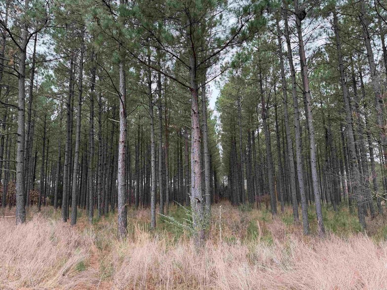 More Photos Of 155 Sweet Gum Holw, Rose Bud Land For Sale