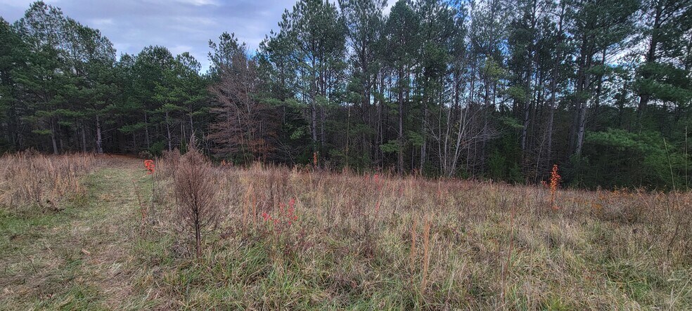 More Photos Of Thompson Chapel Rd, Spartanburg Land For Sale