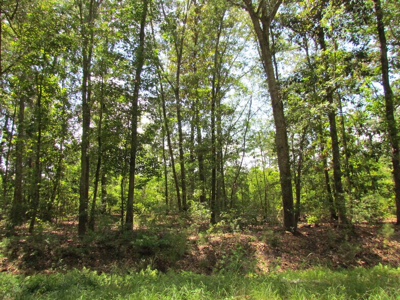 More Photos Of 214A Seabrook Rd, Seabrook Land For Sale