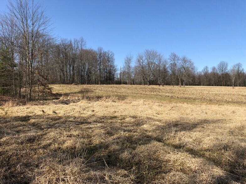 More Photos Of 1620 Maple Dr, Hermitage Land For Sale