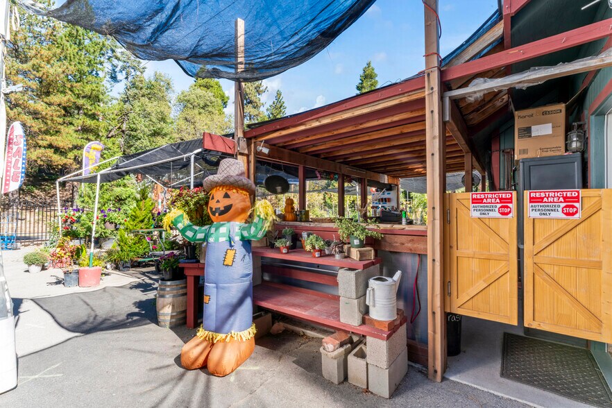 More Photos Of 303 CA-173 Hwy, Lake Arrowhead Garden Center For Sale
