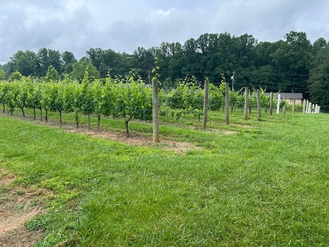 Primary Photo Of 124 Sandy Hill Ln, Hendersonville Winery Vineyard For Sale