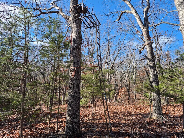 More Photos Of Logan School Rd. (30.2+/- Acres), New Florence Land For Sale