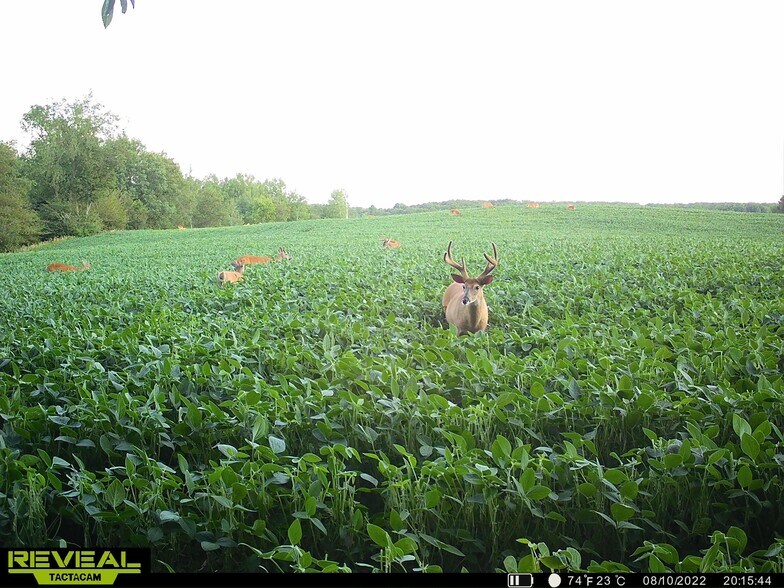 More Photos Of Fisher Road, Iola Land For Sale