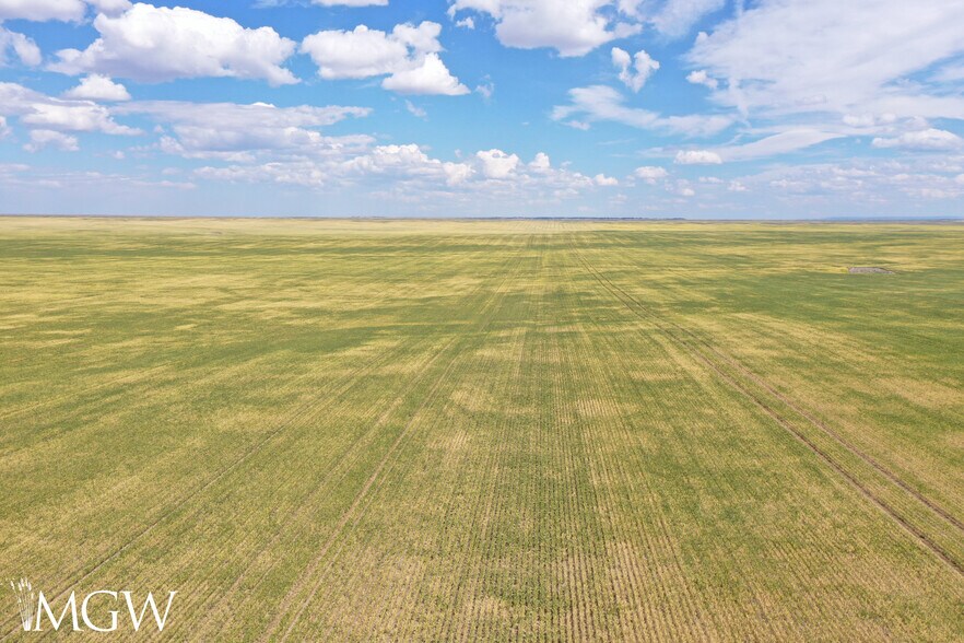 More Photos Of Emory Road, Lavina Land For Sale
