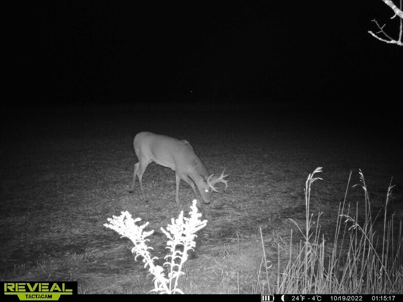 More Photos Of Fisher Road, Iola Land For Sale