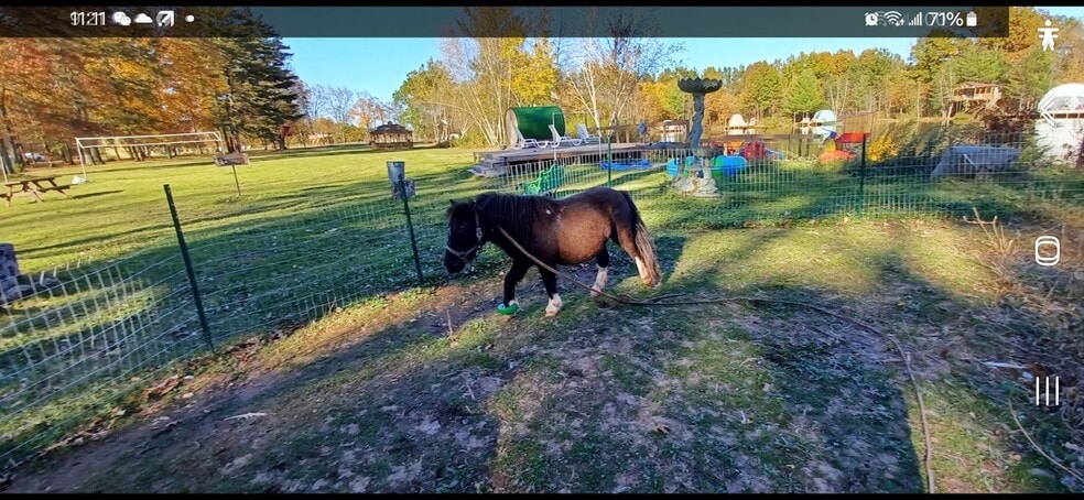More Photos Of , Catskill Unknown For Sale