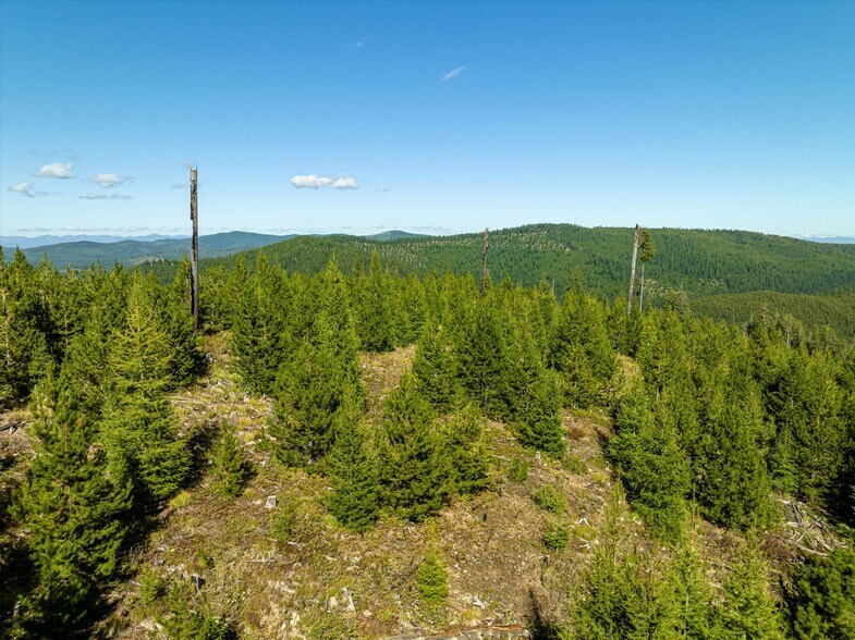 More Photos Of Nhn Logan Creek Road, Kila Land For Sale