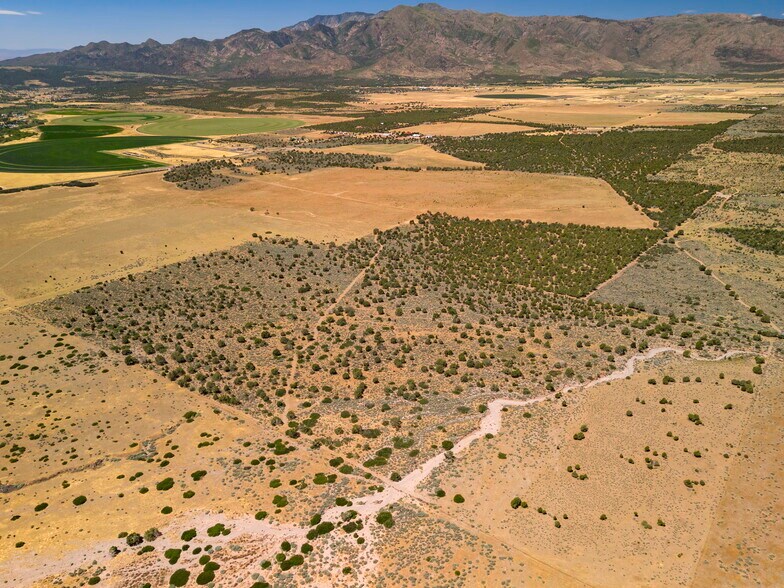 More Photos Of E Old Hwy 144, New Harmony Land For Sale