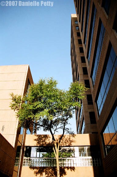More Photos Of 1777 NE Loop 410, San Antonio Office For Lease