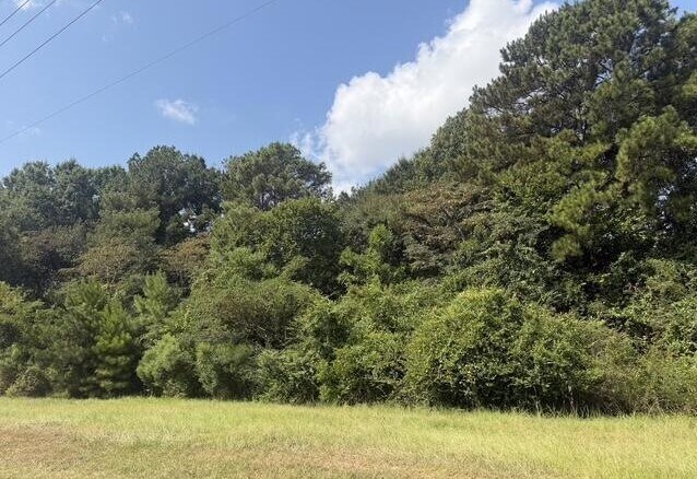 Primary Photo Of 0 US Highway 49, Richland Land For Sale