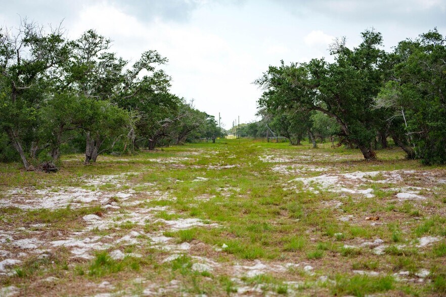 More Photos Of 704 South Highway 35 Byp, Rockport Land For Sale