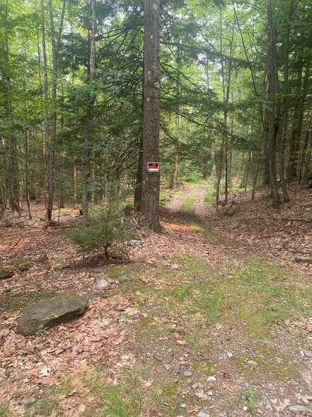 More Photos Of Daggett Hill (TM R16-3) Rd, Westmoreland Land For Sale