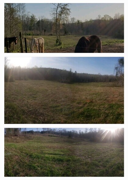 More Photos Of 2195 Otis Dellinger Rd, Lincolnton Specialty For Sale