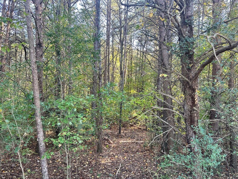 More Photos Of 00 NE Hwy 411, Rydal Land For Sale