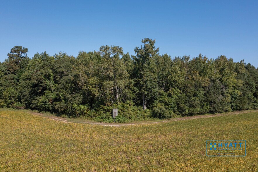 More Photos Of 5152 Rhodesdale Eldorado Rd, Rhodesdale Land For Sale