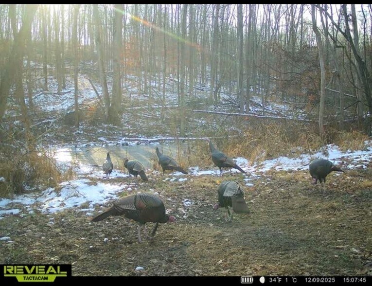 More Photos Of Burch Dr, Newark Land For Sale