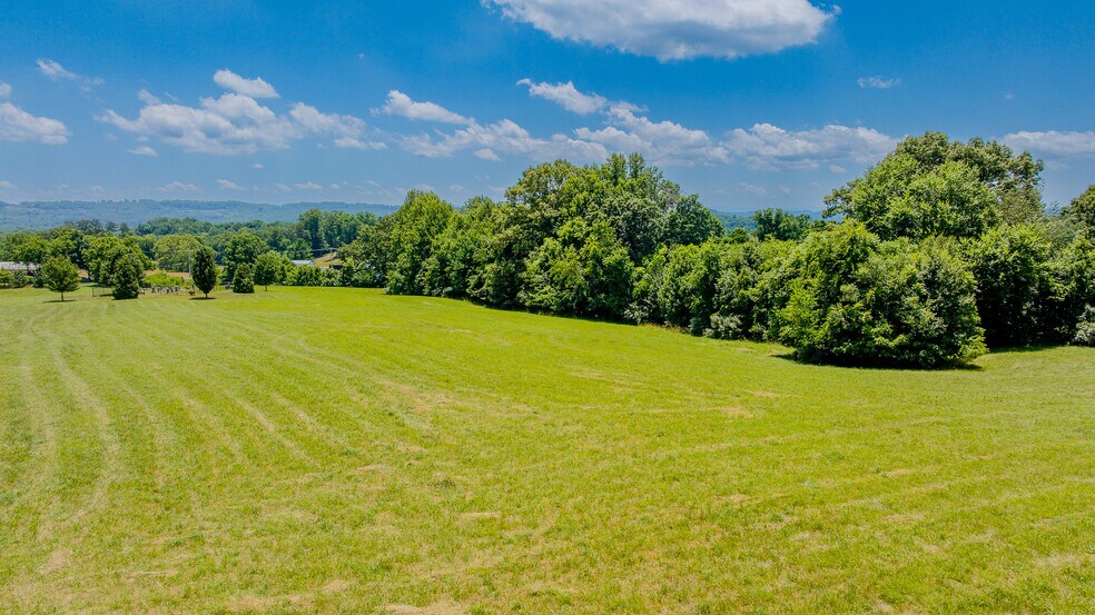 More Photos Of 199 Stuffle St, Kingsport Land For Sale