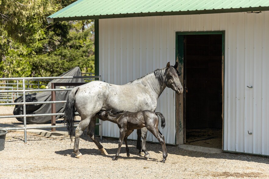 More Photos Of 35350 State Highway 36 E, Paynes Creek Land For Sale