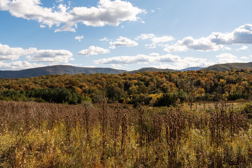 More Photos Of 461 Thunderbird Rd, Bentonville Land For Sale