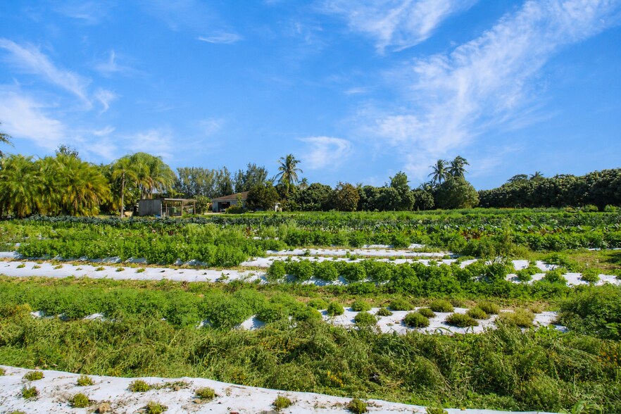More Photos Of 19051 SW 147th Ave, Miami Land For Sale