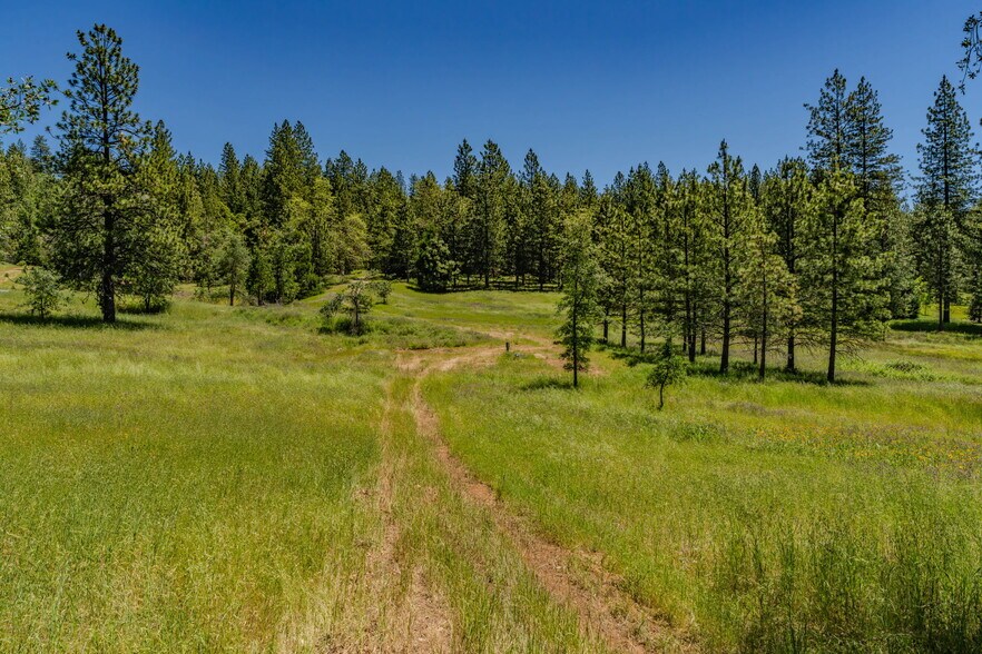 More Photos Of 25755 State Highway 88, Pioneer Land For Sale