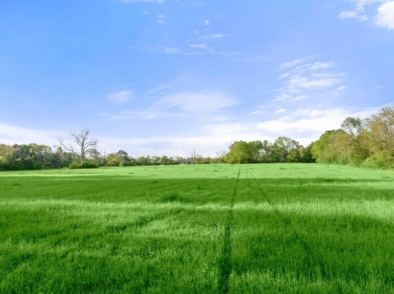 More Photos Of 0000 Farm to Market Road 1488, Magnolia Land For Sale