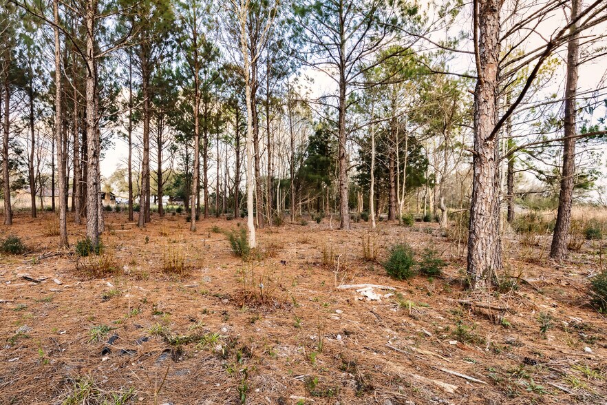 More Photos Of 0 Fm 1960, Dayton Land For Sale