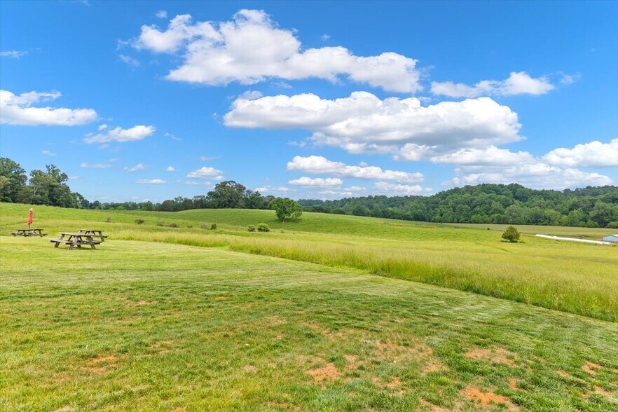 More Photos Of 1830 Thrift Rd, Madison Winery Vineyard For Sale