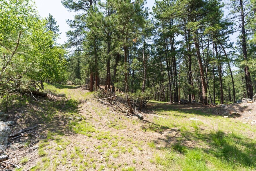 More Photos Of 1201A Old Hill City Rd, Keystone Land For Sale