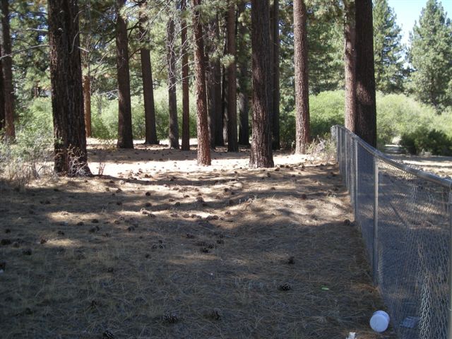 More Photos Of 776 Knickerbocker Rd, Big Bear Lake Land For Sale