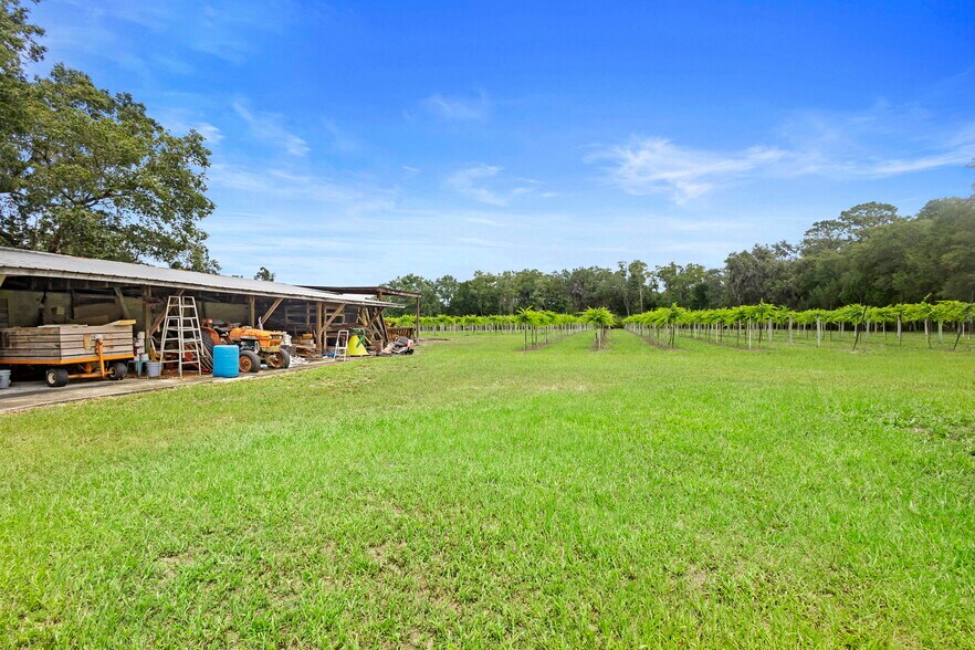 More Photos Of 1056 Reynolds Rd, De Leon Springs Specialty For Sale