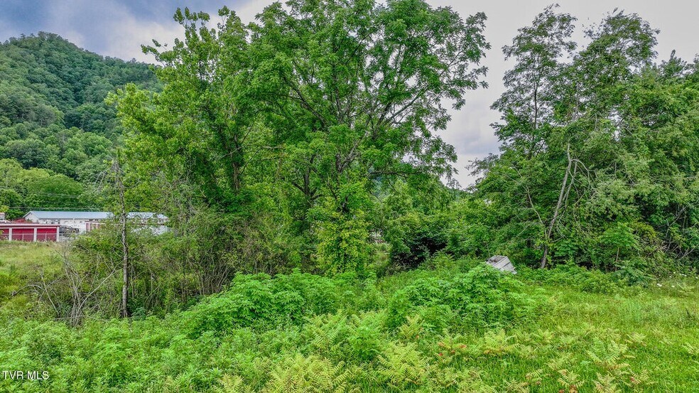 More Photos Of 118 Highway 67, Hampton Land For Sale