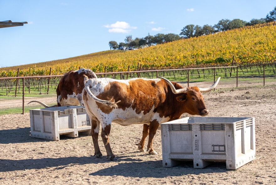 More Photos Of 7790 Airport Rd, Paso Robles Land For Sale